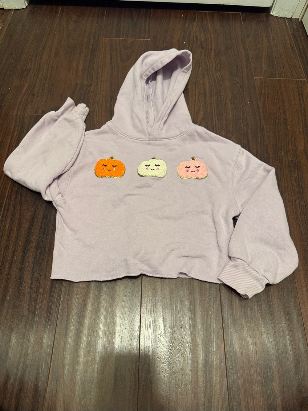 Lilac Kids Cropped Hoodie with Pumpkin Applique